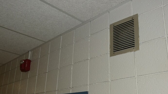 FB_IMG_1771128308960