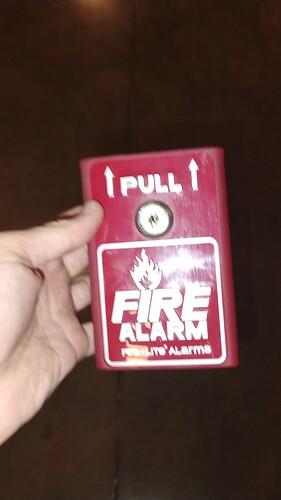 IMG_20251103_125729233