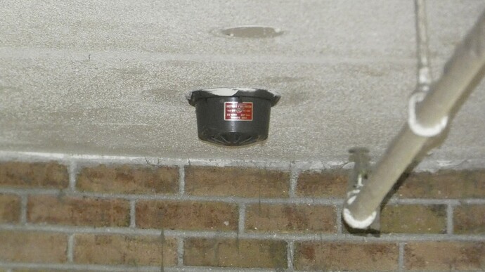 FB_IMG_1771128342696