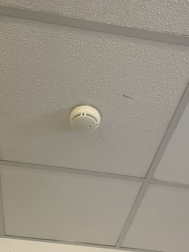 590830B9-5778-4AD2-9498-29E8746D38CB_1_105_c