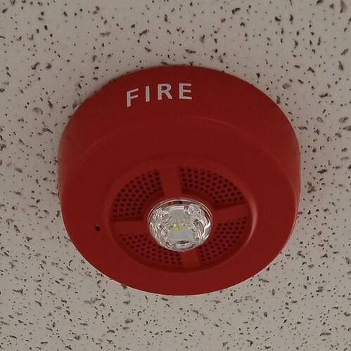 IMG_20251210_130135721