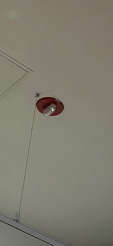IMG_6134