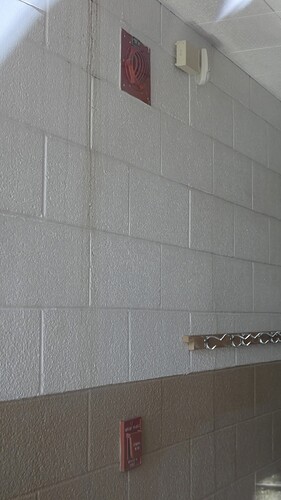 FB_IMG_1770323097037