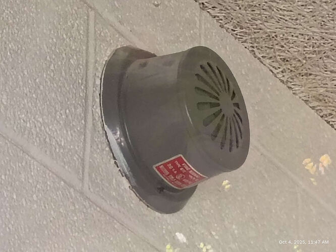 IMG_20251004_114736711