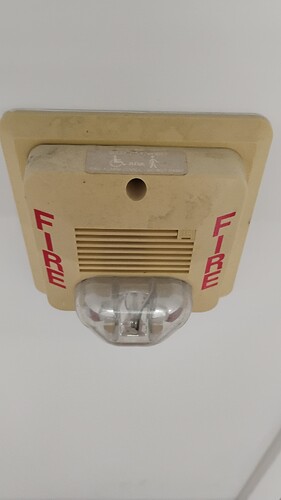 IMG_20250824_153247549