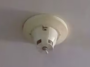 Screenshot 2026-01-21 11.16.12 AM